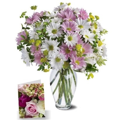 Purple and White Daisy Bouquet